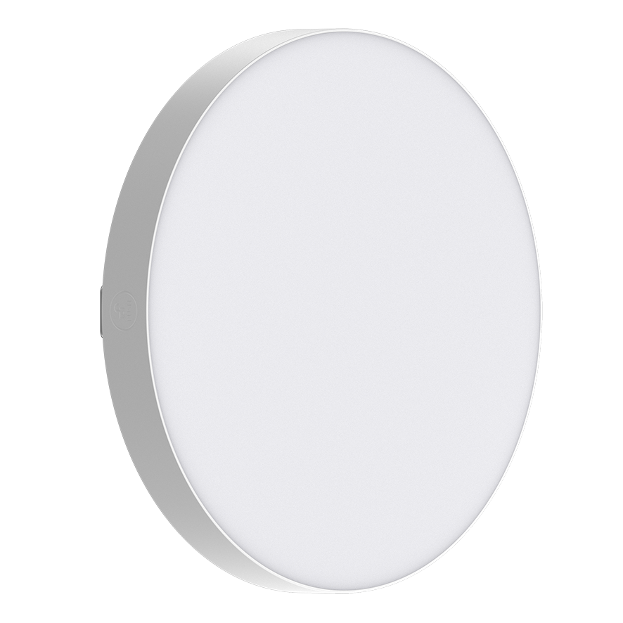 29.5cm Frameless 24W LEDCeiling Light, 5-Colour