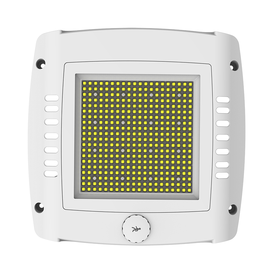 150W LED Canopy Light