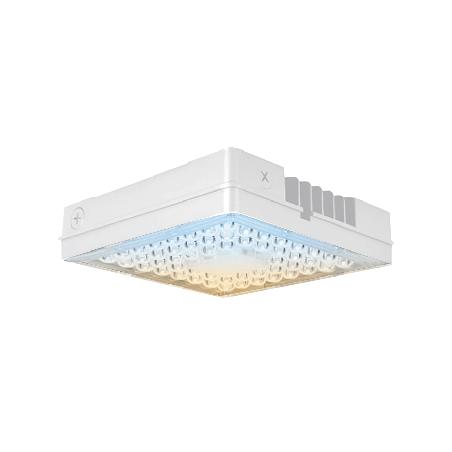 100W LED Canopy Light, CCT