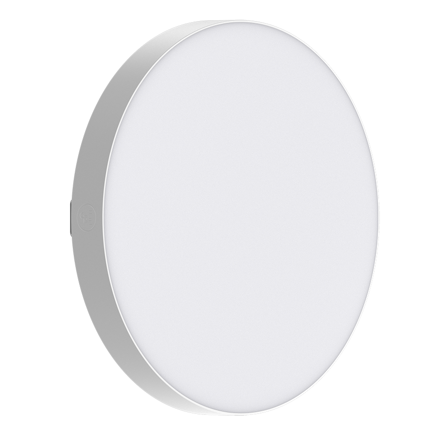29.5cm Frameless LED 24W Ceiling Light, 5-Colour CCT