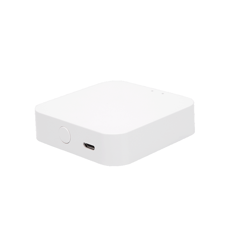 BT Mesh Tuya Gateway