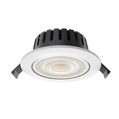 10W WHITE GIMBAL DOWNLIGHT DIMMABLE IP65