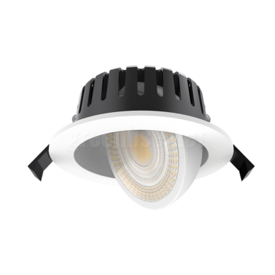 10W WHITE GIMBAL DOWNLIGHT DIMMABLE IP65