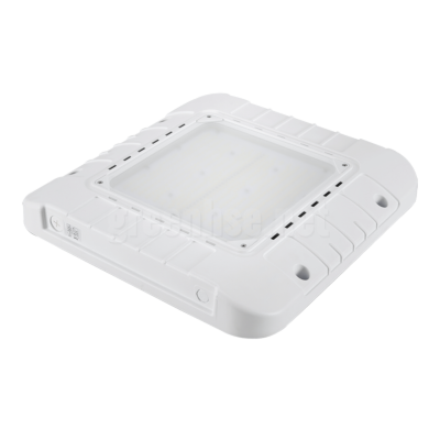 200W LED CANOPY LIGHT