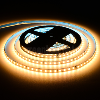 24V High Lumen SMD Strip Light 12w/m