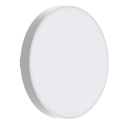 29cm Frameless LED 24W Ceiling Light, 5-Colour CCT