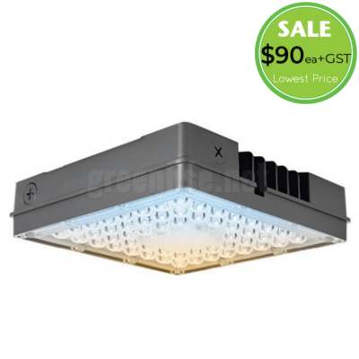 100W LED CCT CANOPY LIGHT