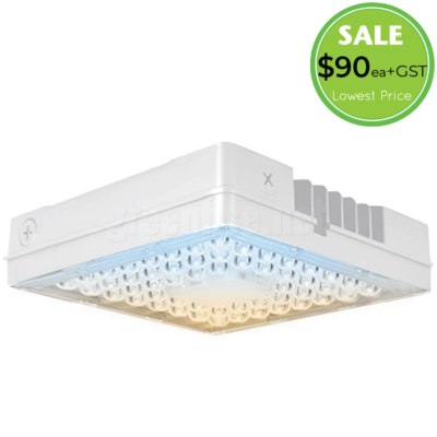 100W LED CCT CANOPY LIGHT
