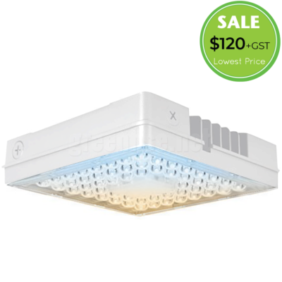 100W LED Canopy Light, CCT
