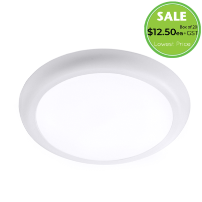 18W LED CEILING LIGHT  2-IN-1 NATURAL WHITE