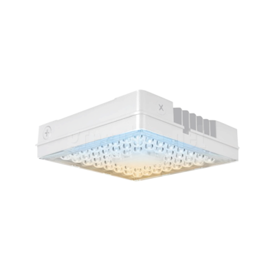 100W LED CCT CANOPY LIGHT