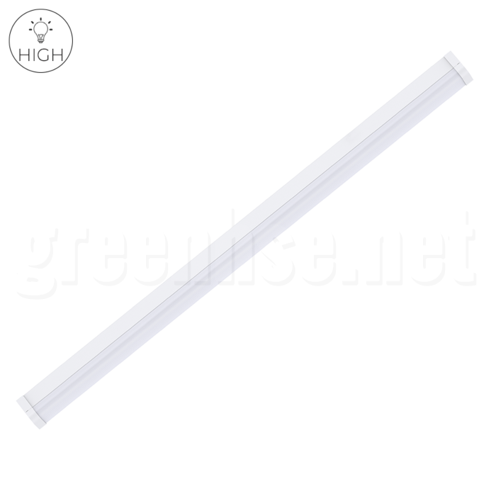 Cct batten on sale