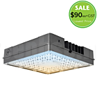 100W LED CCT CANOPY LIGHT