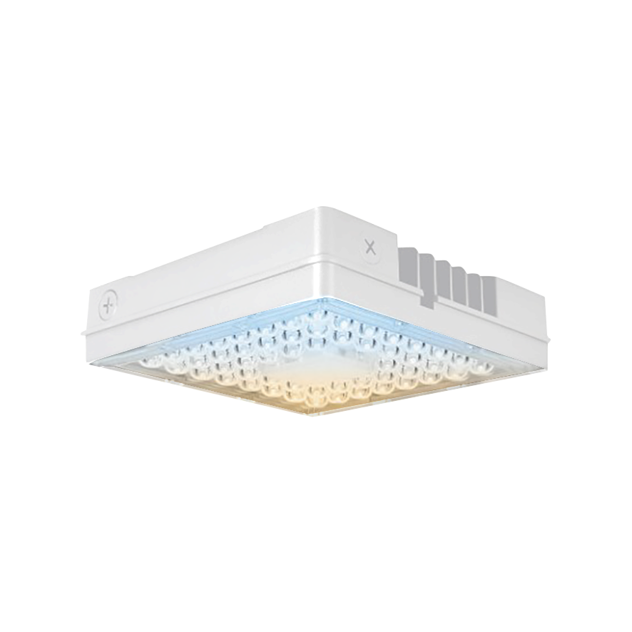 100W LED Canopy Light, CCT