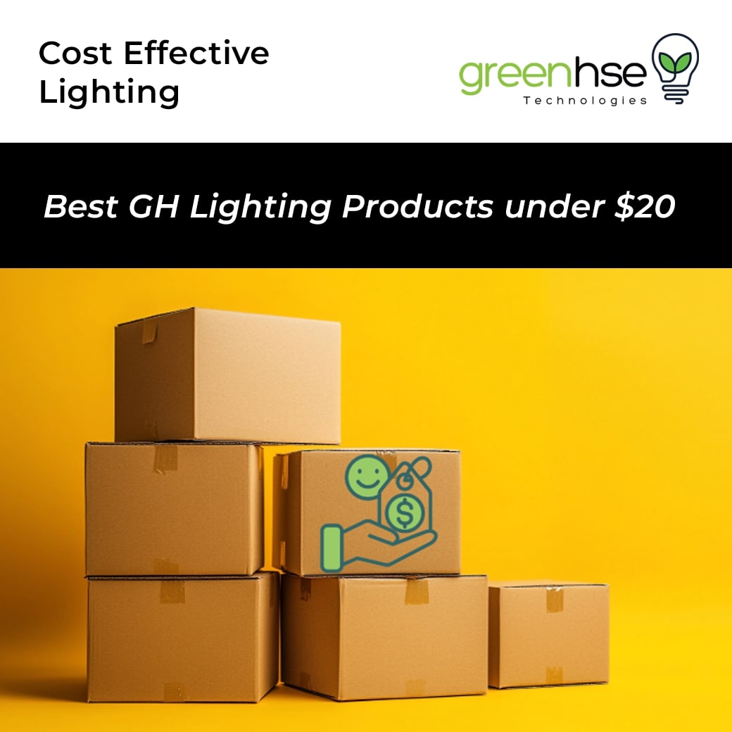 Best Lighting Products Under $20 in Perth (Affordable & Stylish)
